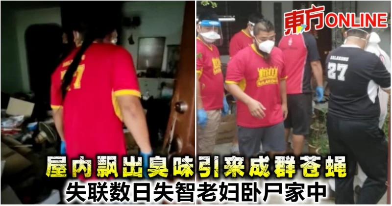 屋內飄出臭味引來成群蒼蠅　失聯數日失智老婦臥屍家中