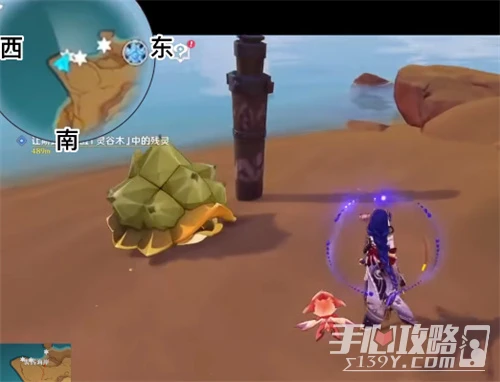 《原神》玳龜分布位置大全