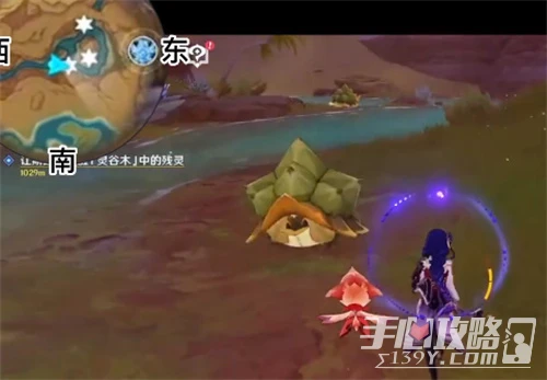 《原神》玳龜分布位置大全