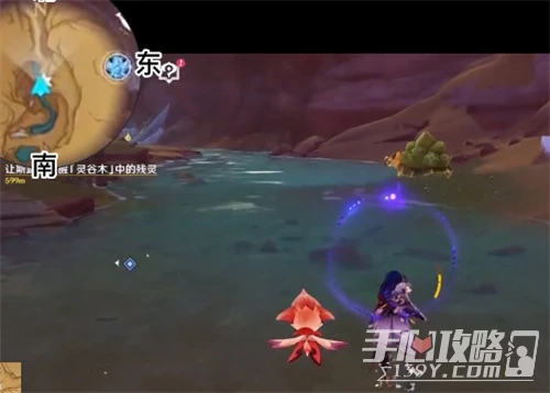 《原神》玳龜分布位置大全