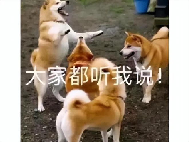 大學生網購《生化危機4》，反手舉報店家，白嫖遊戲還讓店家被封