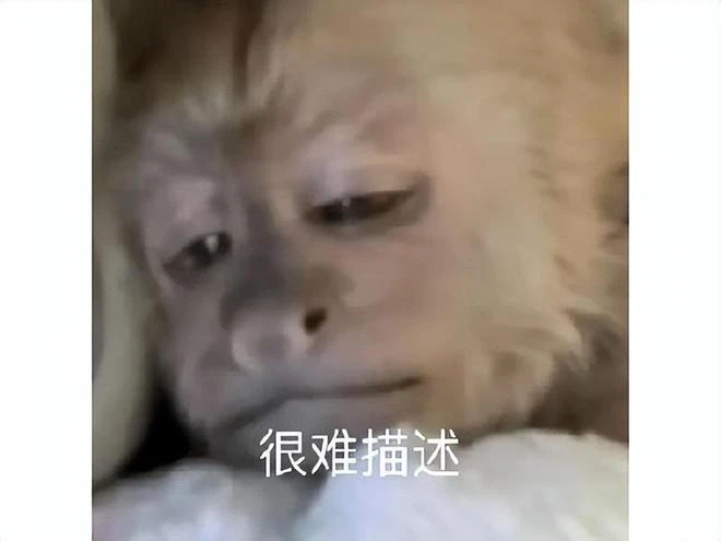 大學生網購《生化危機4》，反手舉報店家，白嫖遊戲還讓店家被封