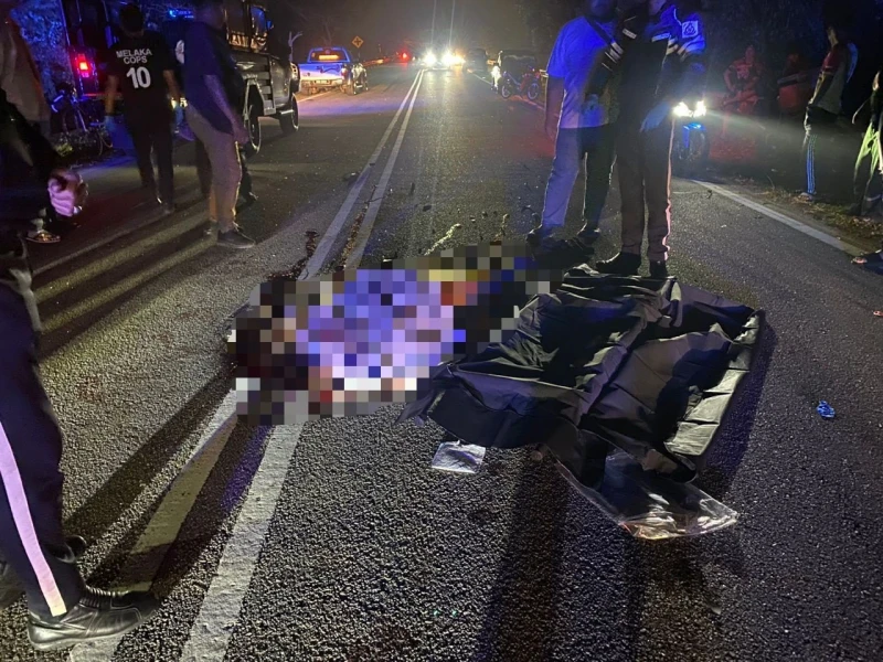 返家途中摩哆撞上水牛　36歲男子魂斷公路