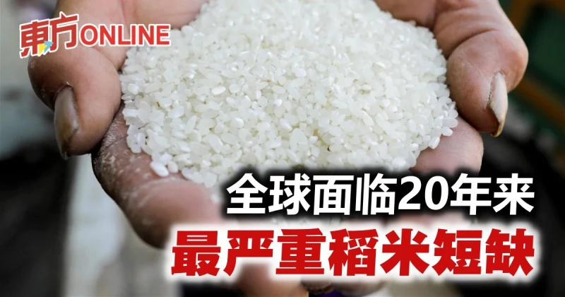 全球面臨20年來最嚴重稻米短缺