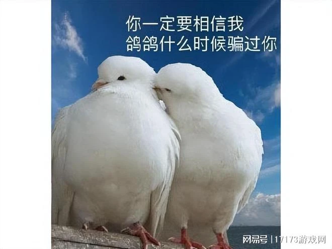 曾和網易合作網絡歌手，被騙10多萬，騙子發文感謝大家慷慨解囊