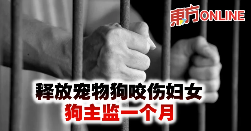 釋放寵物狗咬傷婦女　狗主監一個月