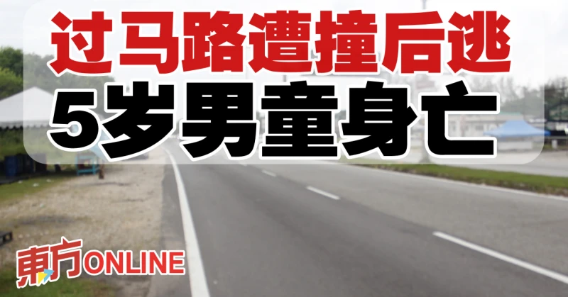 過馬路遭撞後逃　5歲男童身亡