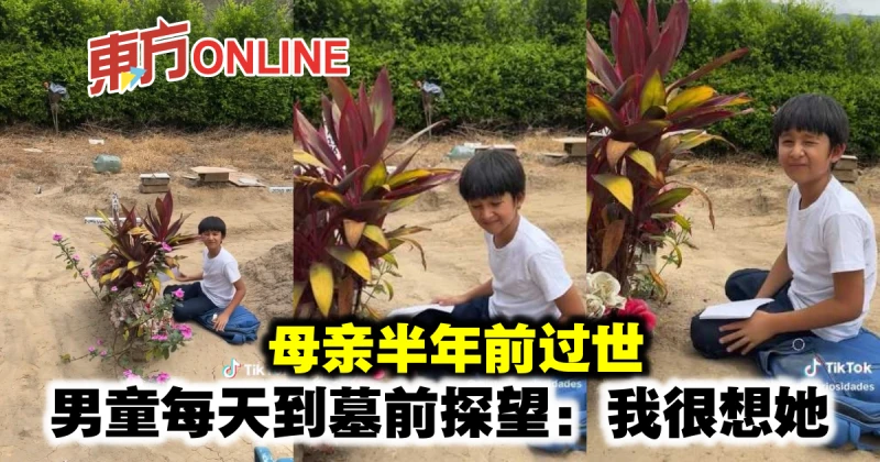 母親半年前過世　男童每天到墓前探望：我很想她