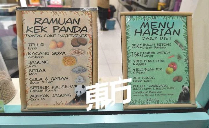 國家動物園希望大熊貓能再留多5年　羅斯里：最終取決於政府