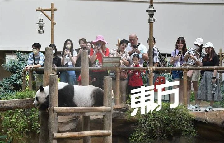 熊貓「誼誼」慢熱、「升誼」活潑