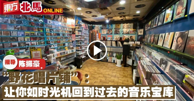 「野花唱片鋪」：讓你如時光機回到過去的音樂寶庫