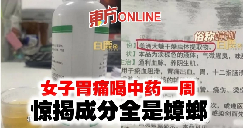 女子胃痛喝中藥一周　驚揭成分全是蟑螂