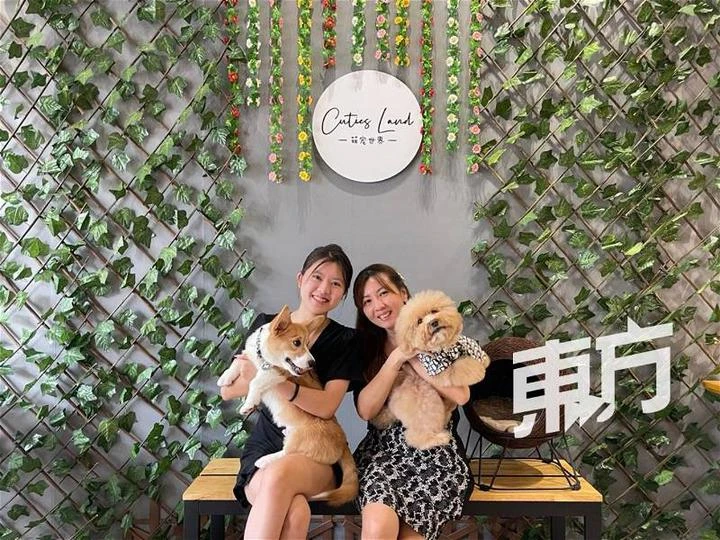 自幼愛養小動物獲父母支持追夢　18歲女生認真經營寵物咖啡館