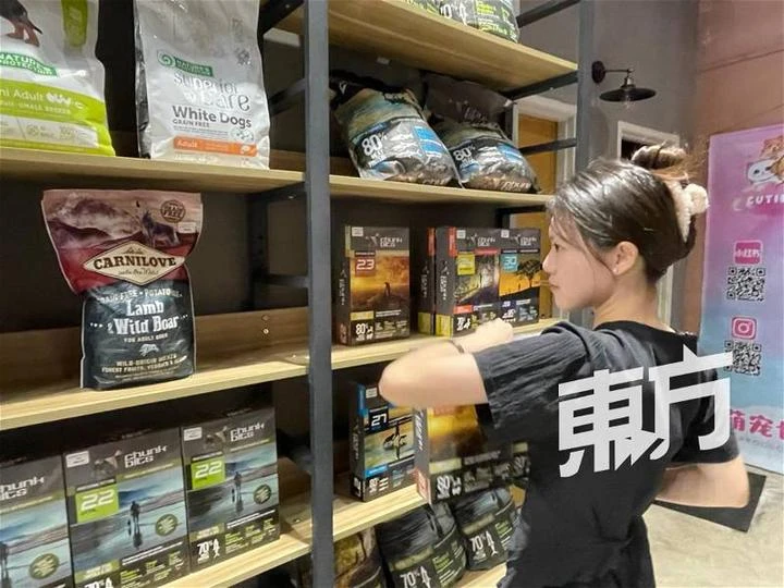 自幼愛養小動物獲父母支持追夢　18歲女生認真經營寵物咖啡館