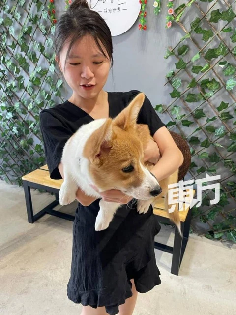 自幼愛養小動物獲父母支持追夢　18歲女生認真經營寵物咖啡館