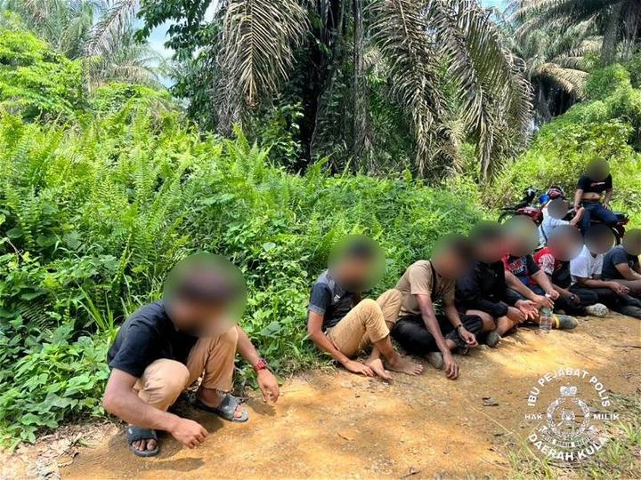 飆車黨為躲避警方逃至油棕園　最終忍受不了飢餓「投降」 