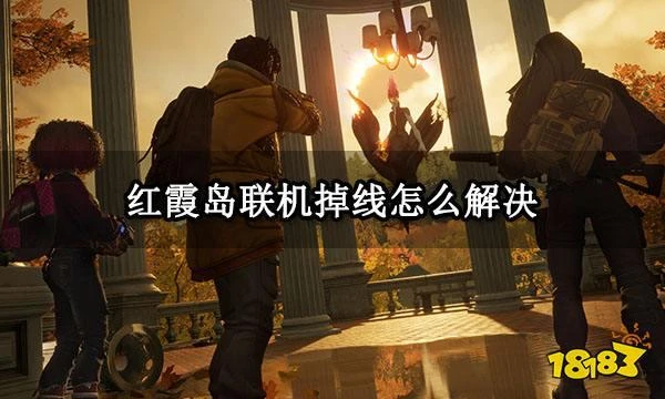 紅霞島聯機掉線怎麼解決 網絡延遲高丟包解決方法