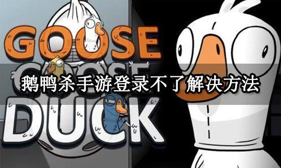 鵝鴨殺手游登錄不了怎麼辦 無法連接伺服器解決方法