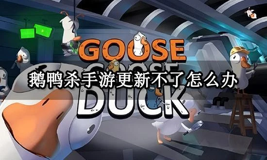 鵝鴨殺手游更新不了怎麼辦 更新不動解決方法