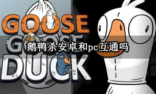 鵝鴨殺安卓和pc互通嗎 手游和端游聯機遊玩方法