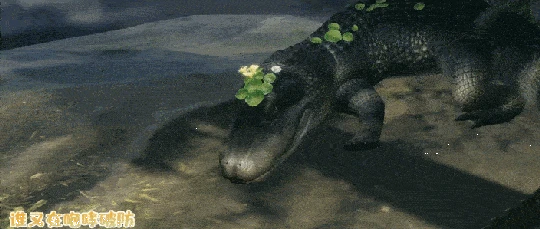 本周卷瘋了！網易米哈游重磅新作亮相，國產網遊集體大更