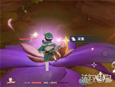 原神憂曇花為什麼會消失 正確獲得方式一覽