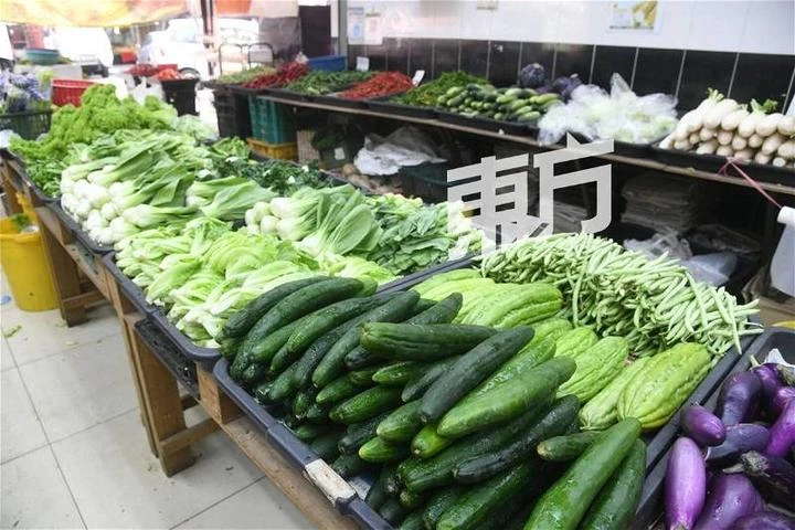 供過於求部分蔬菜維持低價 菜販:料要下月才恢復正常