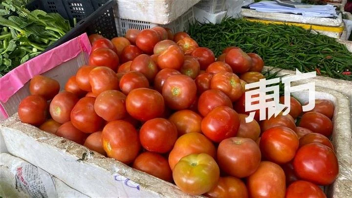 供過於求部分蔬菜維持低價 菜販:料要下月才恢復正常