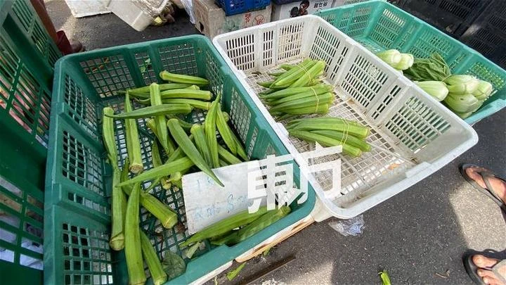 供過於求部分蔬菜維持低價 菜販:料要下月才恢復正常
