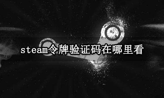 steam令牌驗證碼在哪裡看 驗證碼查看方法分享