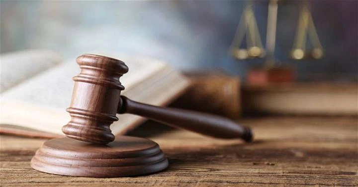 2國陣候選人選舉訴訟上訴　聯邦法院502線上審理