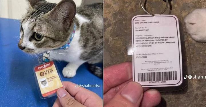 攻讀貓語哲學榮譽博士學位　 「貓博士」成工大分校萌寵