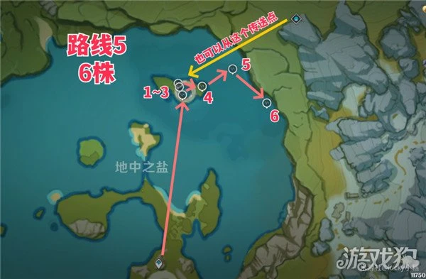 原神琉璃袋採集路線大全 236個點位分布
