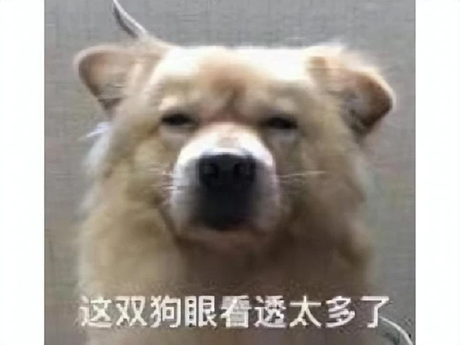 老外山寨起來夠狠！山寨《王國之淚》曝光，網友：建議反告任天堂