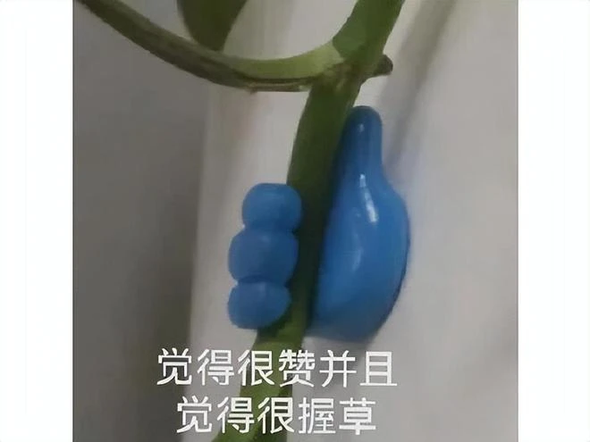 老外山寨起來夠狠！山寨《王國之淚》曝光，網友：建議反告任天堂