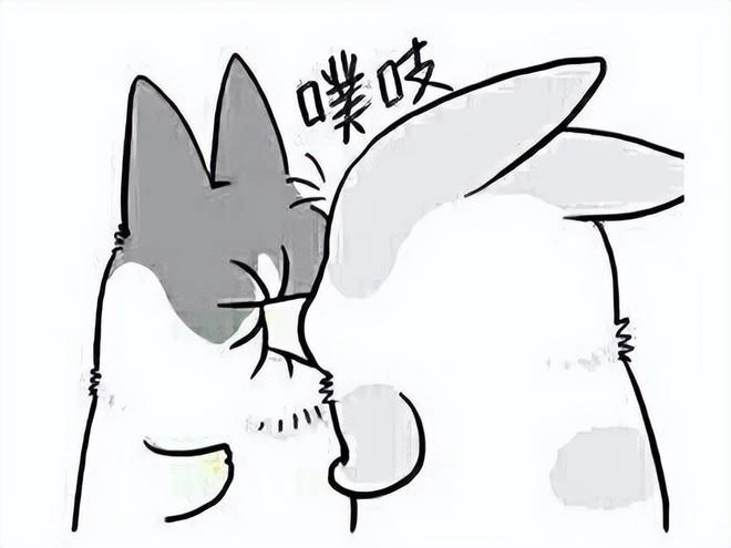 真用愛發電！耗時2年做遊戲給玩家免費白嫖，好評率高達96%！