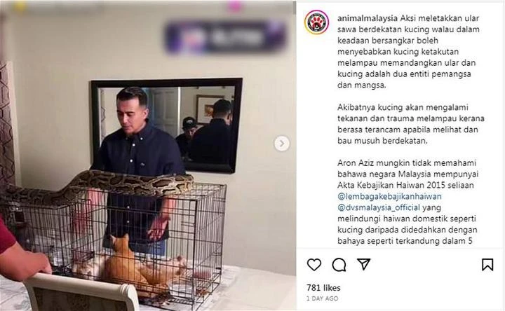 藝人把蟒蛇放在貓籠上拍攝　引動物協會及網民批評