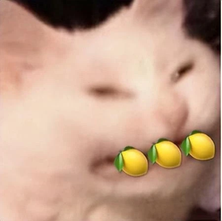 cp29結束了，我最羨慕的竟然是一隻豬