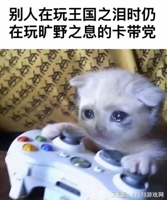 《暗黑4》壓力測試很失敗?玩家抗議《完美新世界》無中文