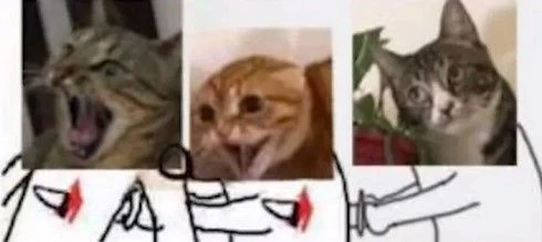 今年最能「縫」的國產遊戲，到底借鑑了多少元素？