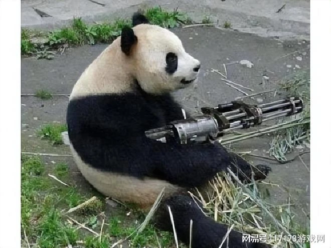 騰訊CF後繼有人？海外工作室出爆款，上架兩天拿下人氣榜第二！