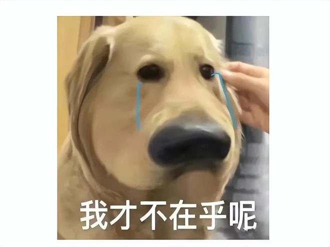 被玩家氪崩了？《星穹鐵道》上線帥哥新角色，充值系統竟然炸了？