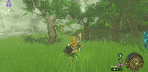 極致資源管理！盤點《王國之淚》沒必要花錢買的物品