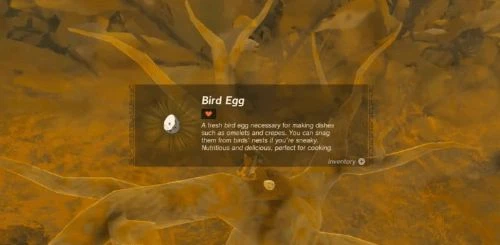 極致資源管理！盤點《王國之淚》沒必要花錢買的物品