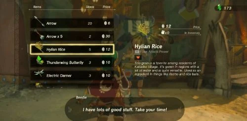 極致資源管理！盤點《王國之淚》沒必要花錢買的物品