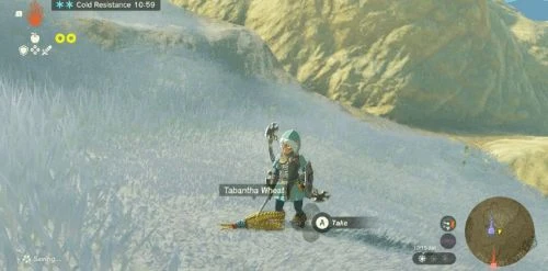 極致資源管理！盤點《王國之淚》沒必要花錢買的物品