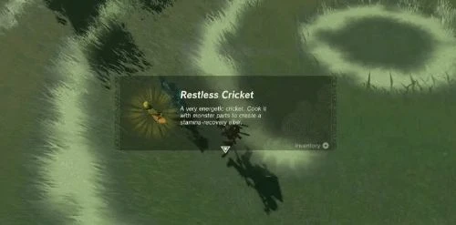 極致資源管理！盤點《王國之淚》沒必要花錢買的物品