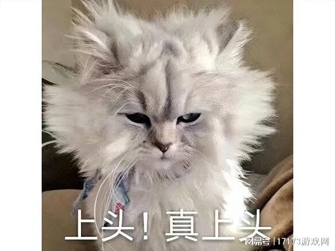 多人聯機新爽游！童年經典電影做成遊戲，和16個老哥一起亂殺！