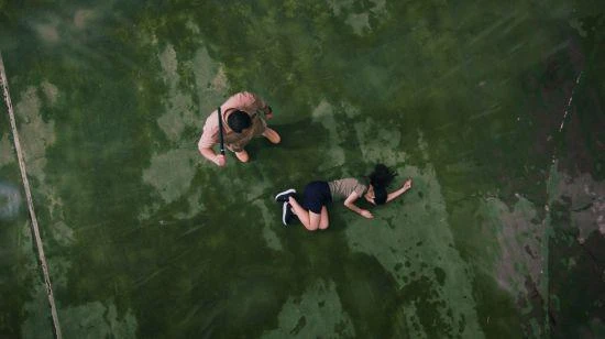 《飛越13號房》憑什麼展映坎城國際電影節?