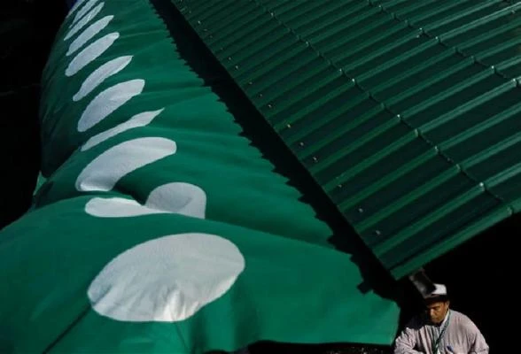 綠潮來襲衝擊雪30州席選情　國陣希盟議席分配各有顧慮